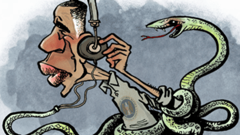 No More Spinning, Just Stop NSA Domestic Snooping