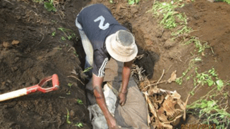 Face on Blanket Tells Congo's Woeful Tale