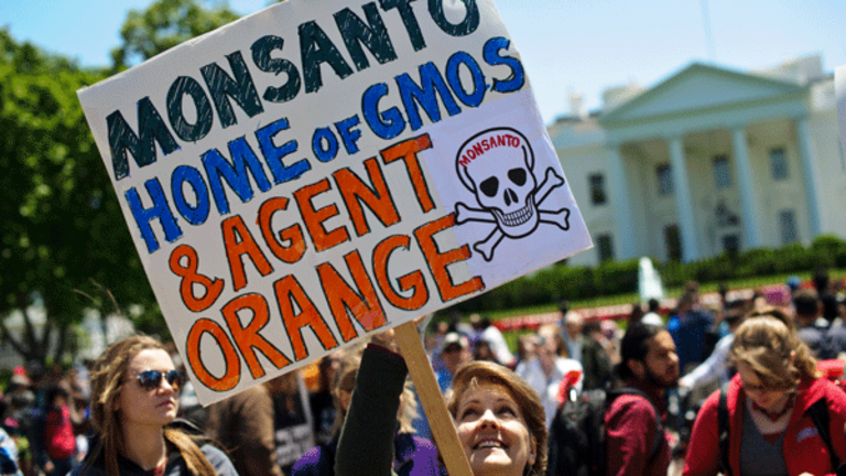 Back to the Fight Against GMOs