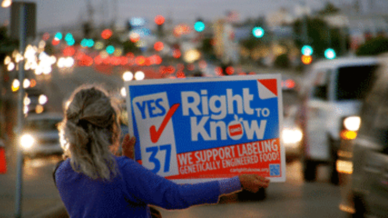 Defending the Public Sector