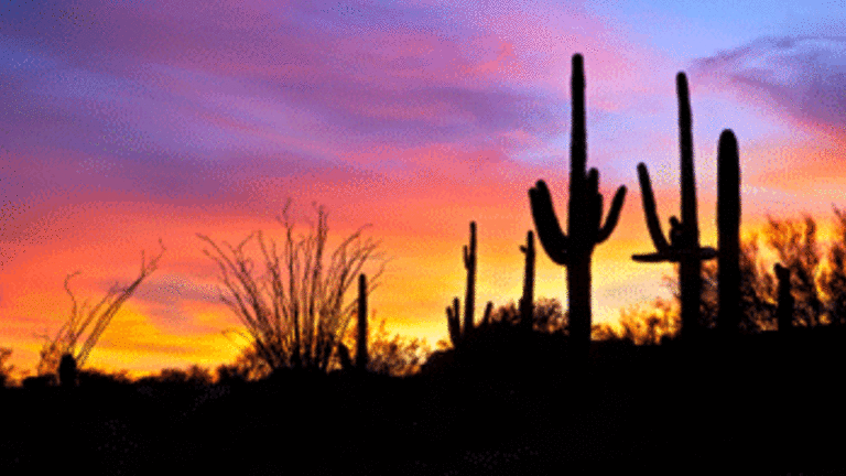 What’s the Matter with Arizona?