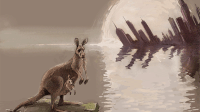 Kangaroo Spy Court