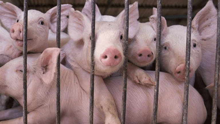 China Orders Ham?
