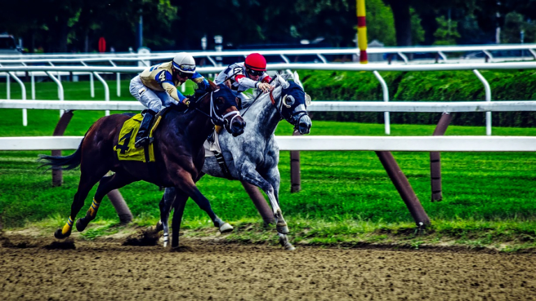 How to Bet Smart and Win Big On Your First Horse Racing Experience