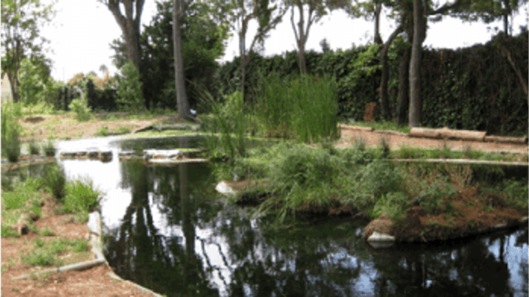 Help Celebrate and Protect Native American Culture in Los Angeles