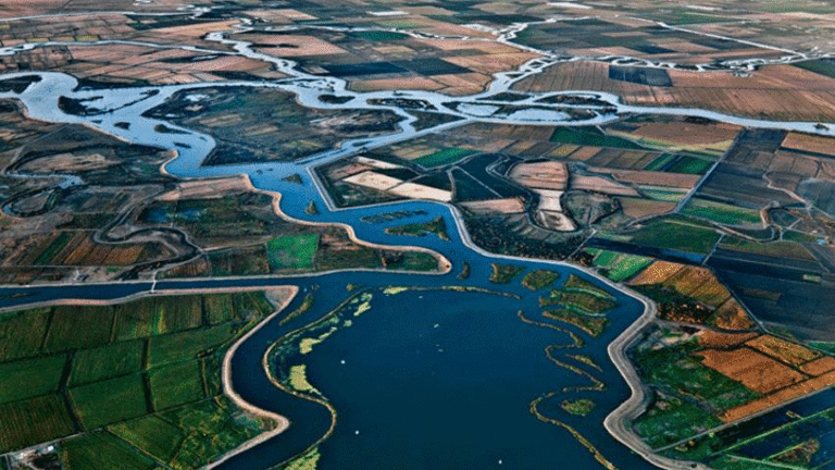 A Chaotic Mess: State Water Board Suspends Upcoming Delta Tunnels Deadlines