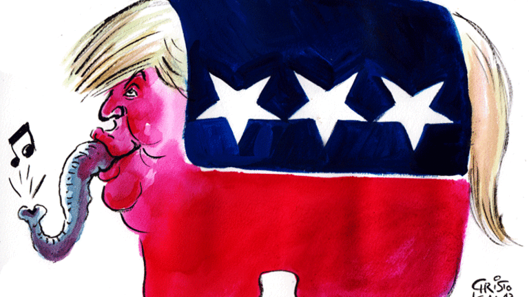 Mule Trader Trump
