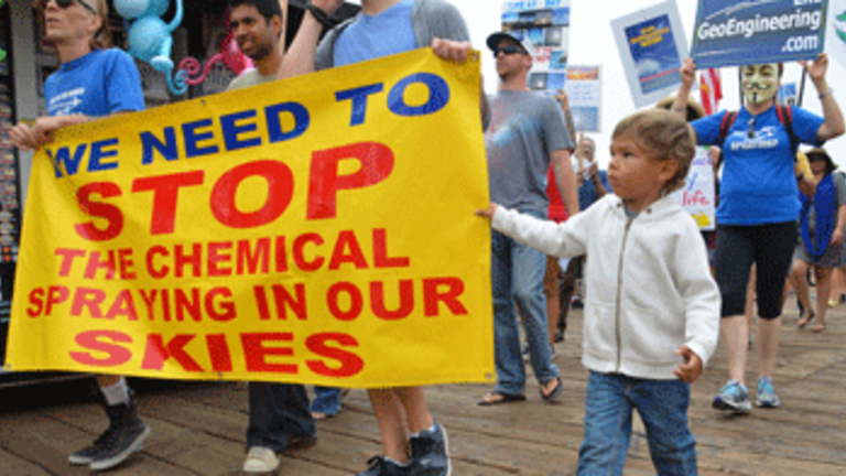 Are We in a Golden Age of Activism?
