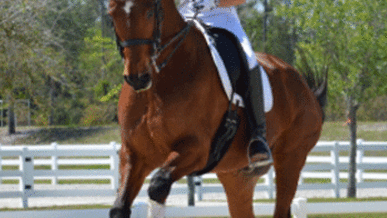 Dancing With Horses
