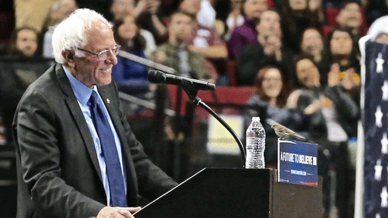 Bernie's Magic