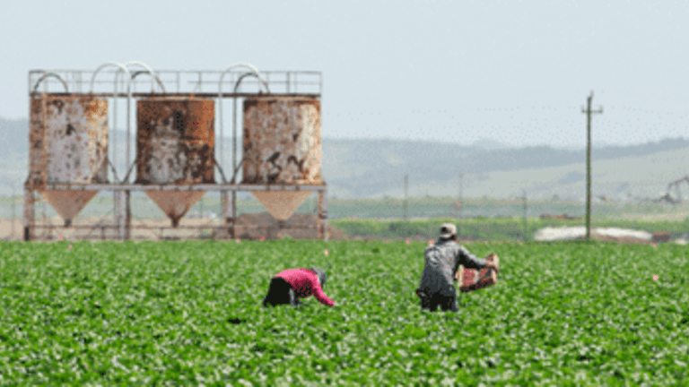 How The South Can Rise Again: Immigrants