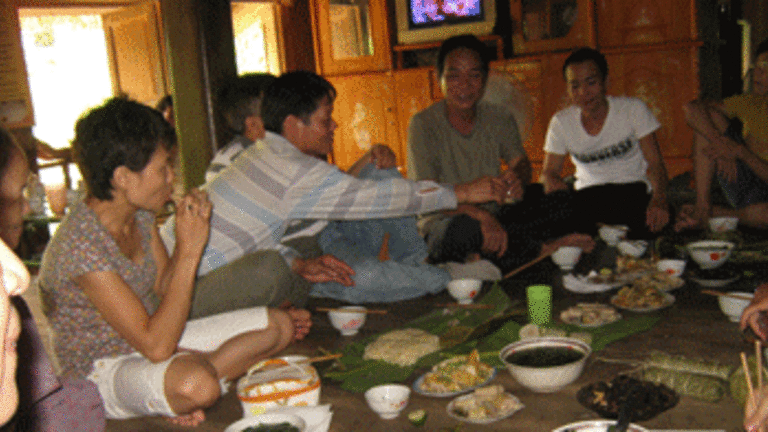 Tea Growers of Phu Tho