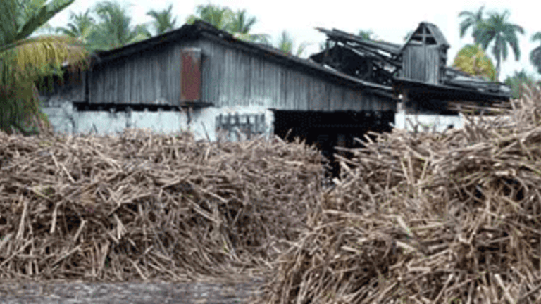 Haitians Poisoned: Fake Clairin
