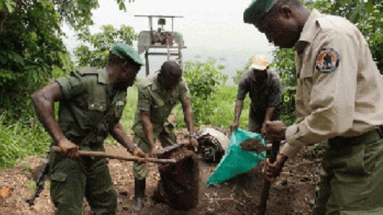 Defining Good Rebels vs. Bad Rebels in Congo