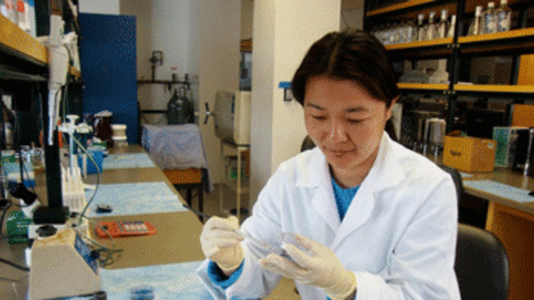 Demand for H-1B High Skilled Worker Visas Spread Unevenly