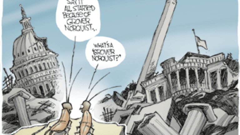 The Small Government Fallacy