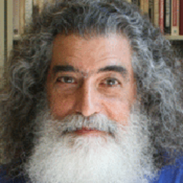 Steve Hochstadt