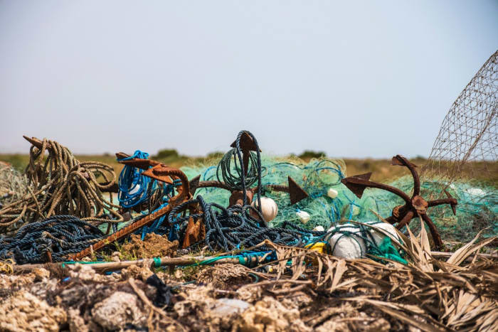 Wrack Line