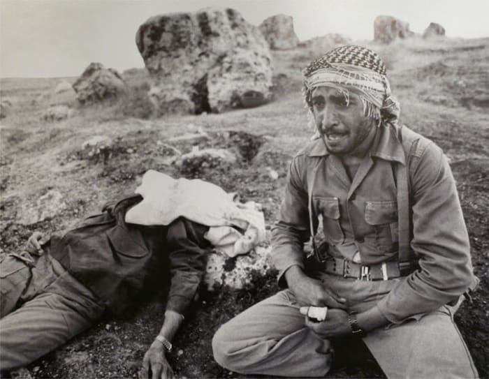 Iran Peace