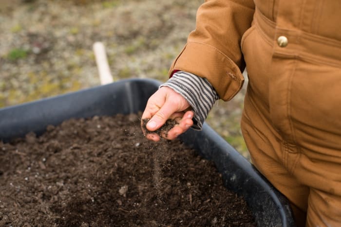 Soil Science
