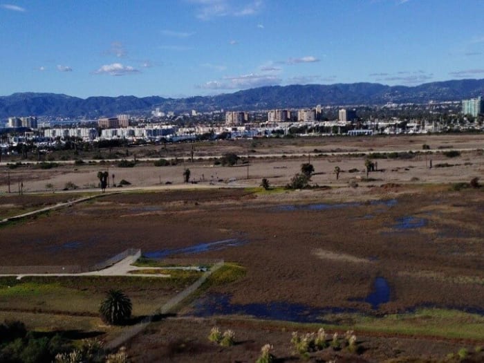 ballona wetlands