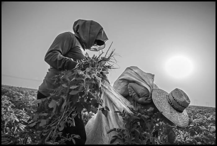 Farm Worker Overtime