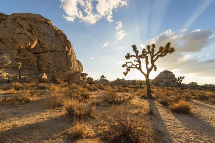 desert water