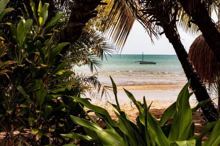 Rwanda in Mozambique and the French on Top