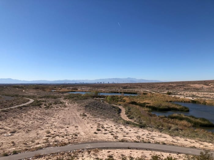 Water cycle: The Las Vegas Wash, a 12-mile-long channel, feeds most of the Las Vegas Valley’s excess water back into Lake Mead. (Photo credit: Frederick Clayton)