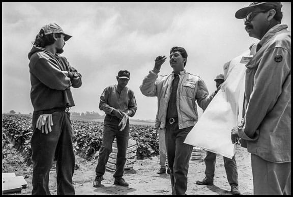 Two farmworkers, who have left their jobs to work as organizers for the United Farm Workers, hold a meeting at lunchtime with a crew of strawberry pickers, 1997.