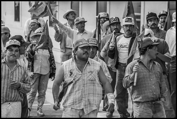 In 1994 D'Arrigo Brothers workers, after a UFW march from Delano to Sacramento, were inspired to march to the office of the company after work to demand a union contract.