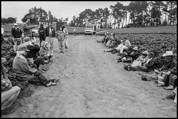 Efren Barajas, UFW organizing director, holds a worksite meeting with strawberry workers on their lunch break during the Watsonville organizing drive of 1998.