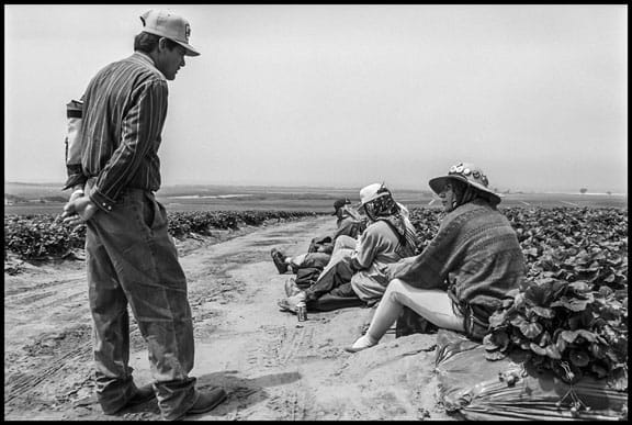 Julio Ramirez talks to a strawberry worker in the fields of the Gargiulo Corp. in Watsonville, 1977. Ramirez was a lettuce cutter and longtime UFW member.