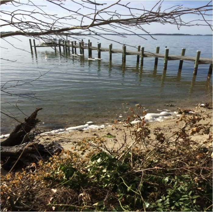Toxic PFAS foam gathers on my beach on the north shore of St. Inigoes Creek directly across from the Webster Outlying Field of the Patuxent River Naval Air Station in Maryland. Foam accumulates when the tide comes in and the wind blows from the south.