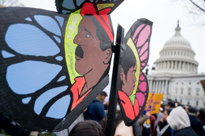 Temporary Protected Status Refugees