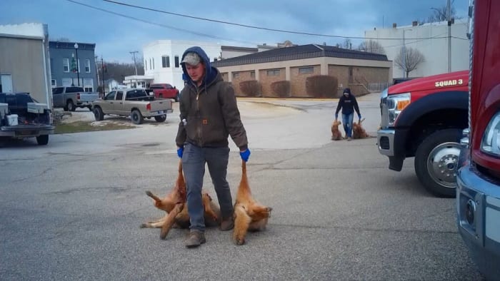 Wildlife Killing Contests