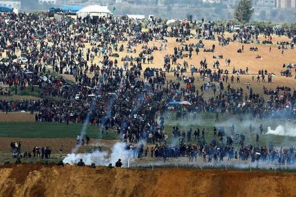 palestinian slaughter