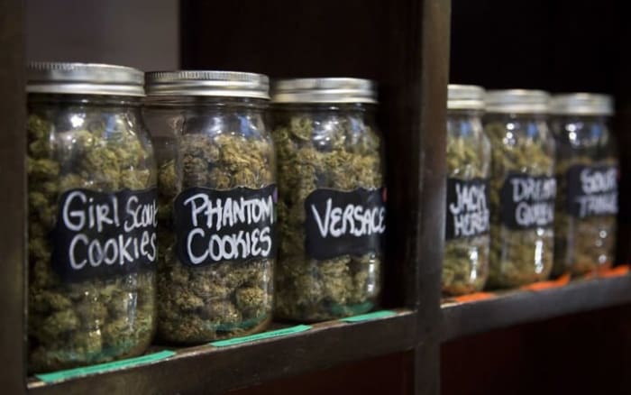 If Marijuana Is Legalized