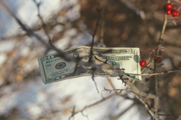 Black America Deserves More than Twenty Dollars