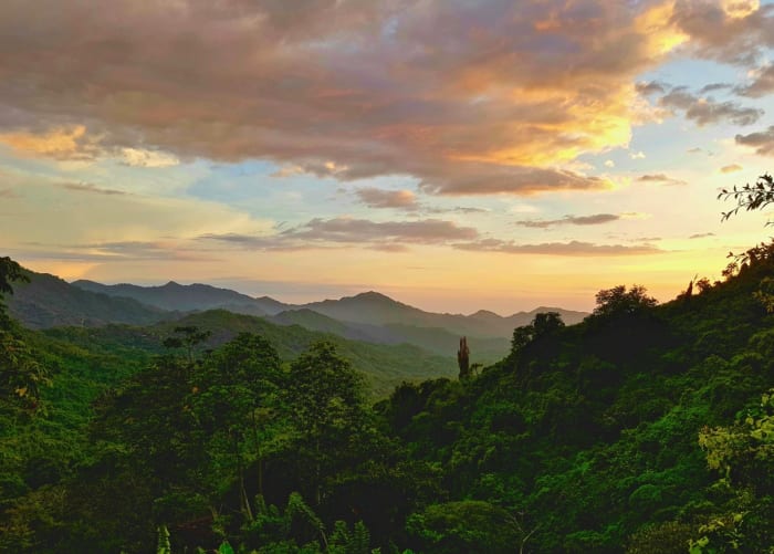 Indigenous People Moved Aside for Amazon Resources