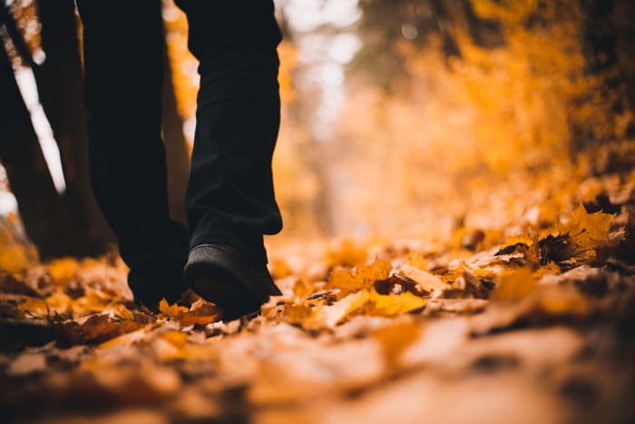 Photo by Lipiński Tomasz on Unsplash
