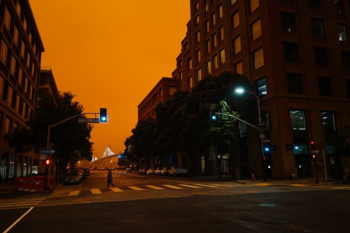 Community Fire Recovery Continues after Megafire