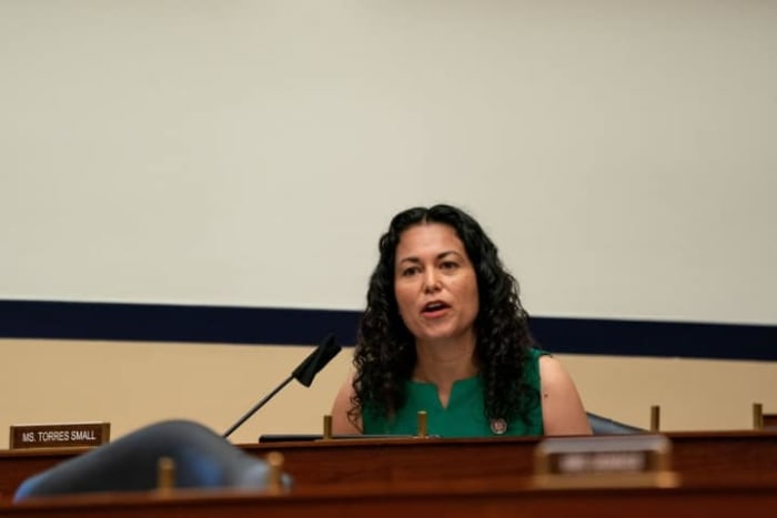 WASHINGTON, DC - JULY 22: Rep. Xochitl Torres Small (D-NM) speaks as Peter T. Gaynor, Administrator of the Federal Emergency Management Agency (FEMA) testifies during a hearing before the House Committee on Homeland Security on Capitol Hill July 22, 2020 in Washington DC. (Photo by Anna Moneymaker-Pool/Getty Images)