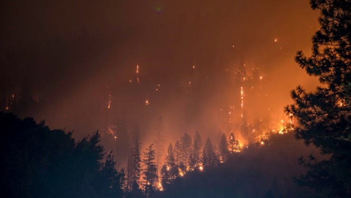 Global Climate Change Wreaking Havoc