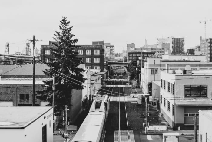 How Portland Radicalized Me for Peace
