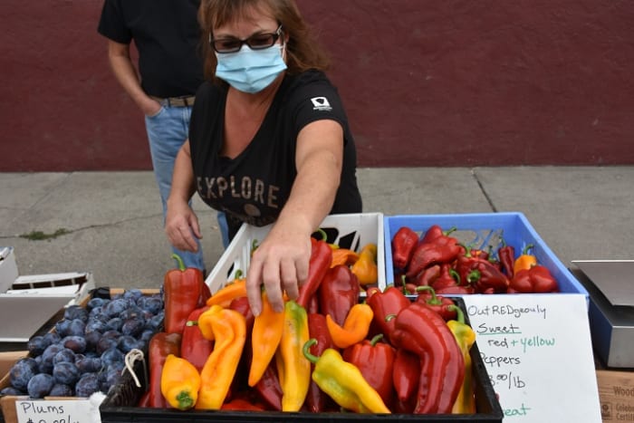 Acute Food Shortages