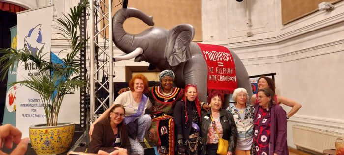 Elefant-im-Klimaraum-Bild