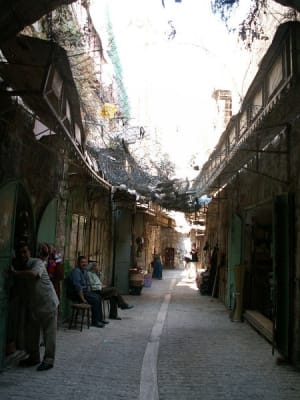Palestinian Rights Groups