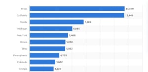 Total number of forcible rape cases reported in the United States in 2020, by state. (Statista)
