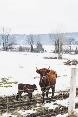 Photo by Madeleine Wilson on Unsplash